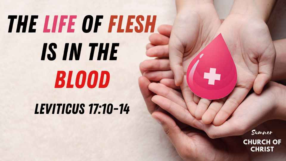 Leviticus 17:10-14 - The Life of the Flesh is in the Blood